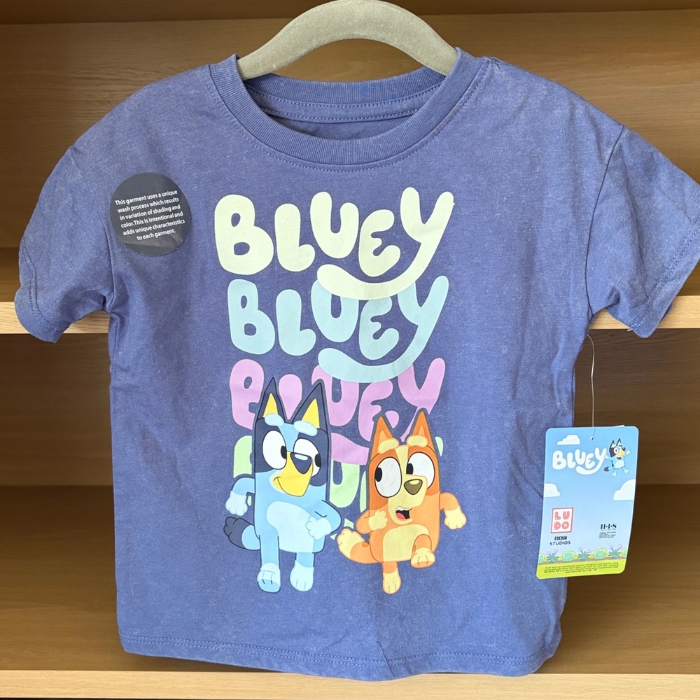 NWT•Bluey & Bingo Toddler Short Sleeve Tee | Gray Blue |  3T